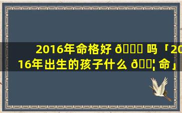 2016年命格好 🐒 吗「2016年出生的孩子什么 🐦 命」